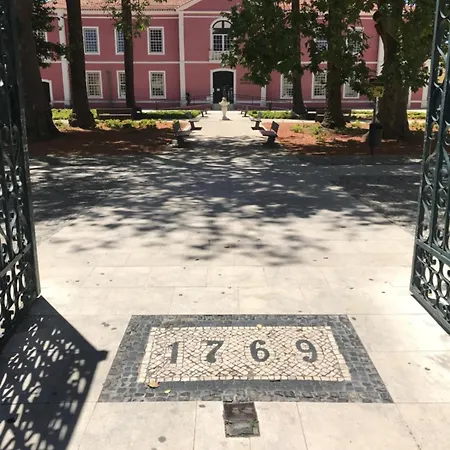 Wood Steel & Glass Albergue Marinha Grande