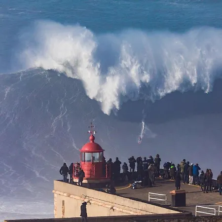 Hostel Wood Steel & Glass *