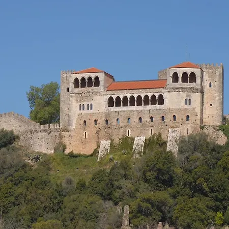 Wood Steel & Glass ホステル