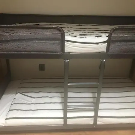 Wood Steel & Glass Hostel *